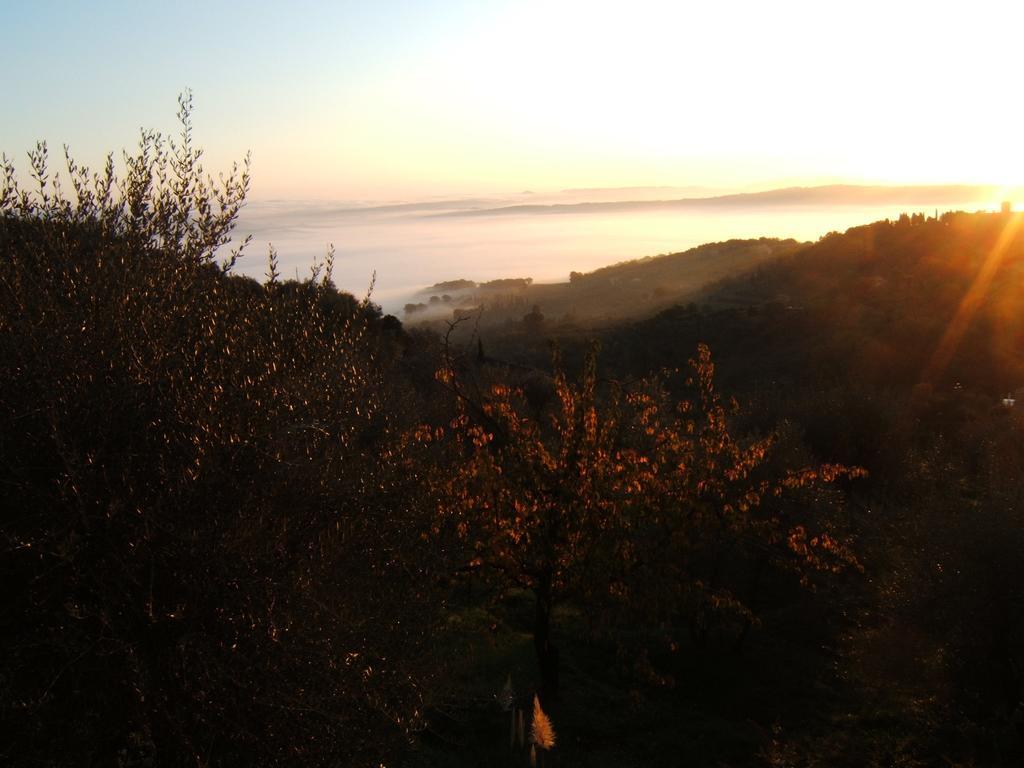 Villa Santa Maria Montalcino Exterior foto